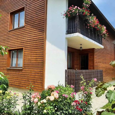Aleksandar Apartmani ปาเล ภายนอก รูปภาพ